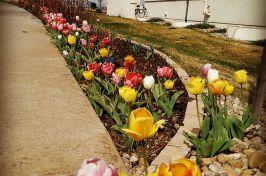 IMG_20150411_210220